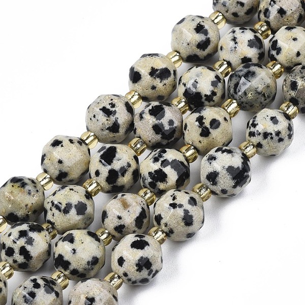 PandaHall Natural Dalmatian Jasper Beads Strands, with Seed Beads, Faceted Bicone Barrel Drum, 7~8x7~8mm, Hole: 1mm, about 35~38pcs/strand...
PandaHall Natural Dalmatian Jasper Beads Strands, with Seed Beads, Faceted Bicone Barrel Drum, 7~8x7~8mm, Hole: 1mm, about 35~38pcs/strand...