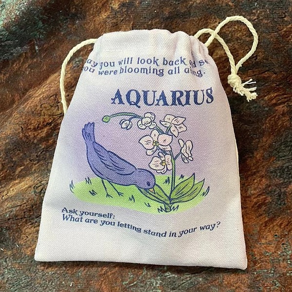 PandaHall Tarot Card Storage Bag, Canvas Cloth Tarot Drawstring Bags, Rectangle with Constellation Pattern, Aquarius, 18x13cm Cloth Aquarius
PandaHall Tarot Card Storage Bag, Canvas Cloth Tarot Drawstring Bags, Rectangle with Constellation Pattern, Aquarius, 18x13cm Cloth Aquarius