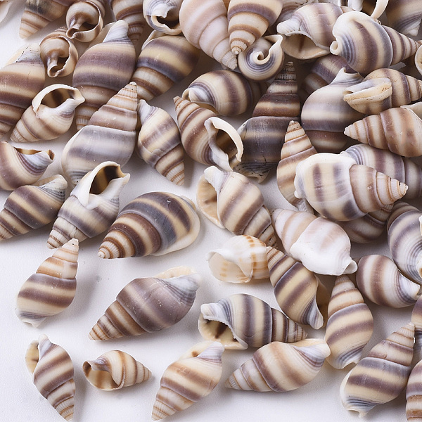 PandaHall Natural Spiral Shell Beads, Turritella Shell, Undrilled/No Hole Beads, Rosy Brown, 10~20x5~11x5~9mm Spiral Shell Shell Shape Brown
PandaHall Natural Spiral Shell Beads, Turritella Shell, Undrilled/No Hole Beads, Rosy Brown, 10~20x5~11x5~9mm Spiral Shell Shell Shape Brown