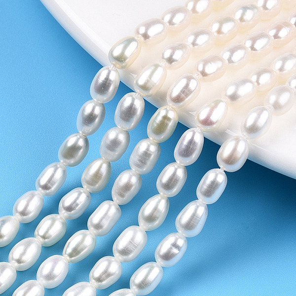 PandaHall Natural Cultured Freshwater Pearl Beads Strands, Rice, Seashell Color, 6~6.5x4~5mm, Hole: 0.7mm, about 51pcs/strand, 13.78 inch...
PandaHall Natural Cultured Freshwater Pearl Beads Strands, Rice, Seashell Color, 6~6.5x4~5mm, Hole: 0.7mm, about 51pcs/strand, 13.78 inch...