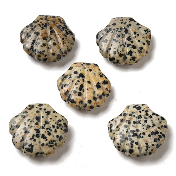 PandaHall Natural Dalmatian Jasper Carved Healing Shell Figurines, Reiki Energy Stone Display Decorations, 30~30.5x30x8~8.5mm Dalmatian...
PandaHall Natural Dalmatian Jasper Carved Healing Shell Figurines, Reiki Energy Stone Display Decorations, 30~30.5x30x8~8.5mm Dalmatian...