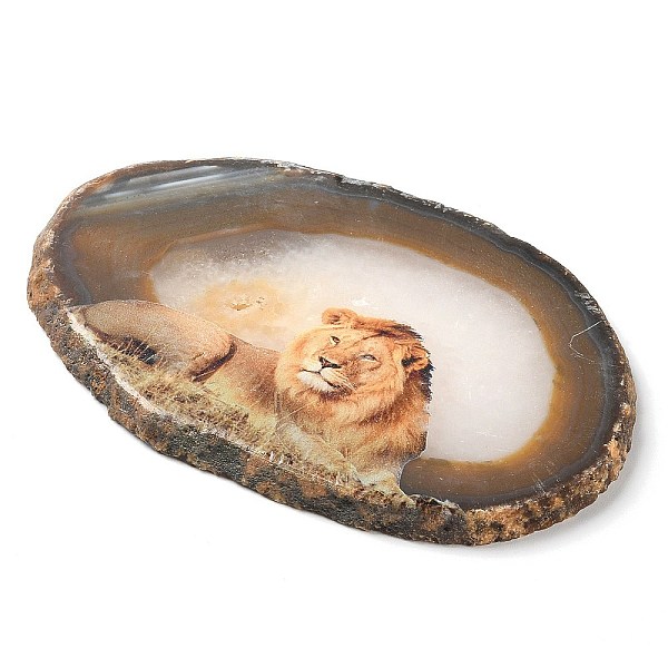 PandaHall Printed Natural Agate Slice Stone Ornament, for Good Luck Home Office Decor, Lion, 115~125x110~130x7~8mm Natural Agate Lion
PandaHall Printed Natural Agate Slice Stone Ornament, for Good Luck Home Office Decor, Lion, 115~125x110~130x7~8mm Natural Agate Lion
