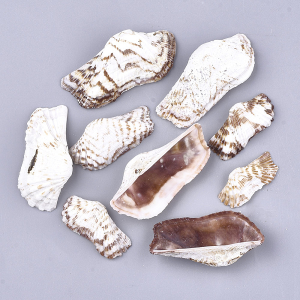 PandaHall Sea Shell Beads, Undrilled/No Hole Beads, Seashell Color, 17~31x35~64x8~15mm Other Sea Shell Others
PandaHall Sea Shell Beads, Undrilled/No Hole Beads, Seashell Color, 17~31x35~64x8~15mm Other Sea Shell Others