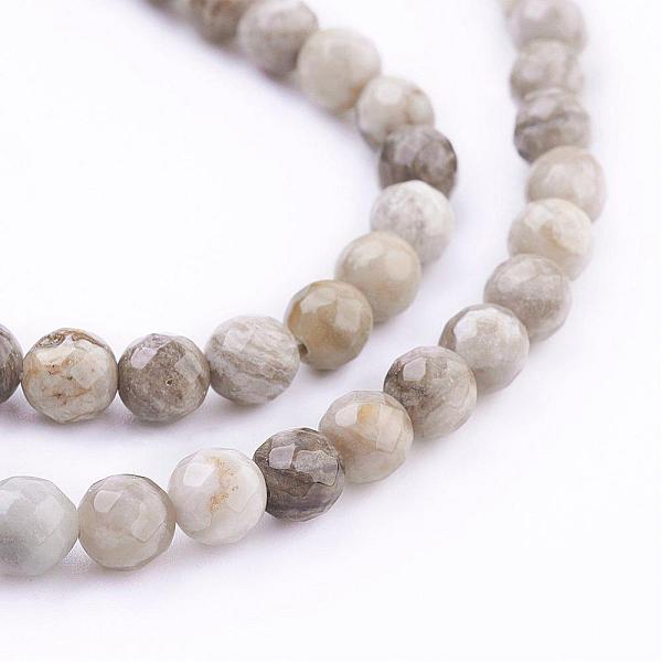 PandaHall Natural Silver Leaf Jasper Beads Strands, Round, Faceted, 6mm, Hole: 1mm, about 66pcs/strand, 15.7 inch(40cm) Silver Leaf Jasper...
PandaHall Natural Silver Leaf Jasper Beads Strands, Round, Faceted, 6mm, Hole: 1mm, about 66pcs/strand, 15.7 inch(40cm) Silver Leaf Jasper...