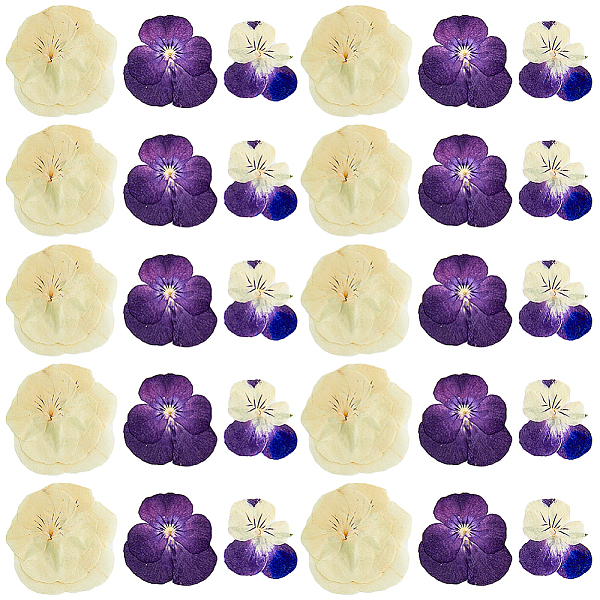 PandaHall HOBBIESAY 120pcs 3 Style Dried Pansy Flower, Craft Material, Mixed Color, 25~40x14~40x0.2~0.7mm, 40pcs/style Dried Flower..., Multicolor
PandaHall HOBBIESAY 120pcs 3 Style Dried Pansy Flower, Craft Material, Mixed Color, 25~40x14~40x0.2~0.7mm, 40pcs/style Dried Flower..., Multicolor