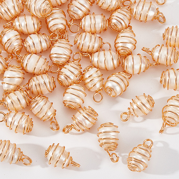 PandaHall 50Pcs Natural Cultured Freshwater Pearl Copper Wire Wrapped Pendants, Rice Charms, Light Gold, 15~17x8.5~9.5mm, Hole: 2.8mm Pearl...
PandaHall 50Pcs Natural Cultured Freshwater Pearl Copper Wire Wrapped Pendants, Rice Charms, Light Gold, 15~17x8.5~9.5mm, Hole: 2.8mm Pearl...