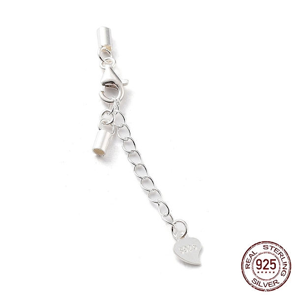 PandaHall 925 Sterling Silver Curb Chain Extender, End Chains with Lobster Claw Clasps and Cord Ends, Heart Chain Tabs, with S925 Stamp...
PandaHall 925 Sterling Silver Curb Chain Extender, End Chains with Lobster Claw Clasps and Cord Ends, Heart Chain Tabs, with S925 Stamp...