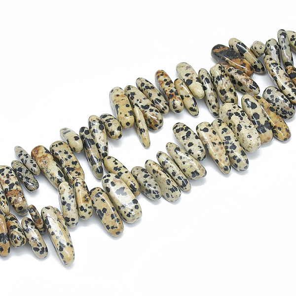 PandaHall Natural Dalmatian Jasper Beads Strands, Chip, 10~30x5~10x3~9mm, Hole: 1mm, about 65~85pcs/strand, 14.9 inch Dalmatian Jasper Chip
PandaHall Natural Dalmatian Jasper Beads Strands, Chip, 10~30x5~10x3~9mm, Hole: 1mm, about 65~85pcs/strand, 14.9 inch Dalmatian Jasper Chip