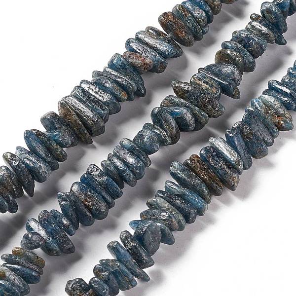 PandaHall Natural Kyanite Beads Strands, Nuggets, 9.5~21.5x7~10.5x4~6mm, Hole: 1mm, about 98~100pcs/strand, 15.94~16.14 inch(40.5~41cm)...
PandaHall Natural Kyanite Beads Strands, Nuggets, 9.5~21.5x7~10.5x4~6mm, Hole: 1mm, about 98~100pcs/strand, 15.94~16.14 inch(40.5~41cm)...