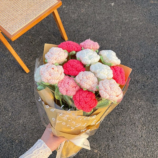 PandaHall Crochet Rose Bouquet Set for Beginners, Flower Display Decoration Knitting Starter Kit, DIY Handmade Valentin's Day Gift for..., Red
PandaHall Crochet Rose Bouquet Set for Beginners, Flower Display Decoration Knitting Starter Kit, DIY Handmade Valentin's Day Gift for..., Red
