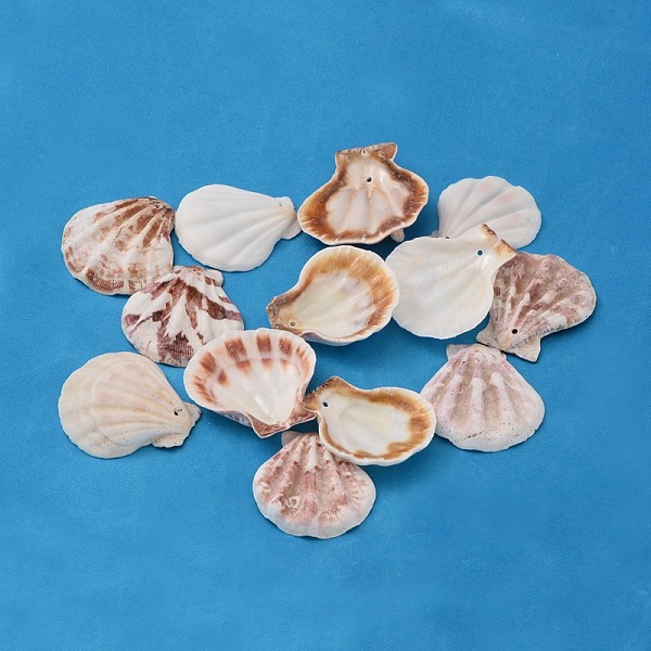 PandaHall Natural Scallop Shell Beads, Sea Shell Beads, Dyed, Mixed Color, 32~45x29~42x6~7mm, Hole: 2mm, about 90pcs/500g Scallop Shell..., Multicolor
PandaHall Natural Scallop Shell Beads, Sea Shell Beads, Dyed, Mixed Color, 32~45x29~42x6~7mm, Hole: 2mm, about 90pcs/500g Scallop Shell..., Multicolor
