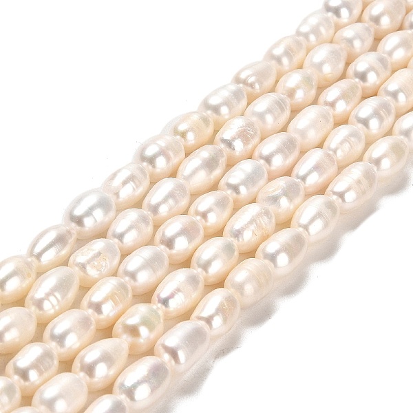 PandaHall Natural Cultured Freshwater Pearl Beads Strands, Rice, Grade A+, Linen, 8~10.5x6~7mm, Hole: 0.6mm, about 37~38pcs/strand, 13.78..., Brown
PandaHall Natural Cultured Freshwater Pearl Beads Strands, Rice, Grade A+, Linen, 8~10.5x6~7mm, Hole: 0.6mm, about 37~38pcs/strand, 13.78..., Brown