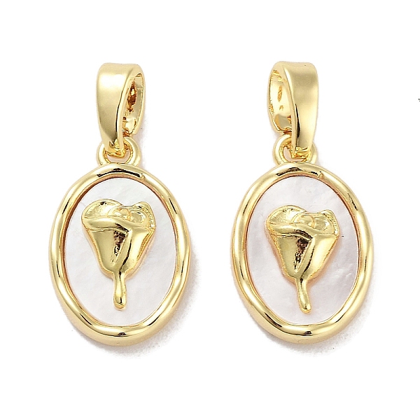 PandaHall Brass Pave Natural Shell Oval with Rose Charms, Real 18K Gold Plated, 14x9x4.5mm, Hole: 4x2mm Shell Oval
PandaHall Brass Pave Natural Shell Oval with Rose Charms, Real 18K Gold Plated, 14x9x4.5mm, Hole: 4x2mm Shell Oval