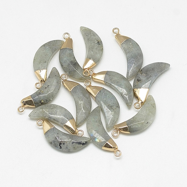 PandaHall Natural Labradorite Pendants, Faceted, Moon, with Golden Tone Brass Findings, 26~28x10~11x5~6mm, Hole: 1~2mm Labradorite Moon Gray
PandaHall Natural Labradorite Pendants, Faceted, Moon, with Golden Tone Brass Findings, 26~28x10~11x5~6mm, Hole: 1~2mm Labradorite Moon Gray