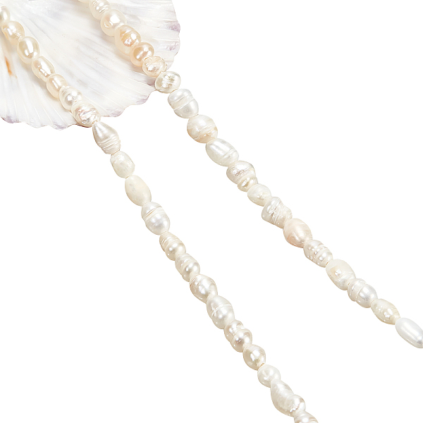 PandaHall 68 Pcs Grade A Natural Cultured Freshwater Pearl Beads, 3~4mm Mini White Pearl Rice Pearl Beads Strands for Jewelry Craft Making...
PandaHall 68 Pcs Grade A Natural Cultured Freshwater Pearl Beads, 3~4mm Mini White Pearl Rice Pearl Beads Strands for Jewelry Craft Making...