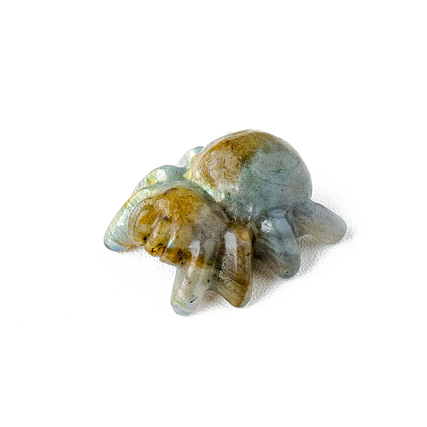 PandaHall Natural Labradorite Sculpture Display Decorations, for Home Office Desk, Spider, 30x25mm Labradorite Spider
PandaHall Natural Labradorite Sculpture Display Decorations, for Home Office Desk, Spider, 30x25mm Labradorite Spider