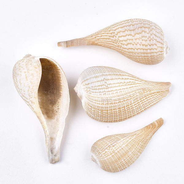 PandaHall Spiral Shell Beads, Undrilled/No Hole Beads, PeachPuff, 86~126x42~66x31~45mm Spiral Shell Shell Shape Brown
PandaHall Spiral Shell Beads, Undrilled/No Hole Beads, PeachPuff, 86~126x42~66x31~45mm Spiral Shell Shell Shape Brown