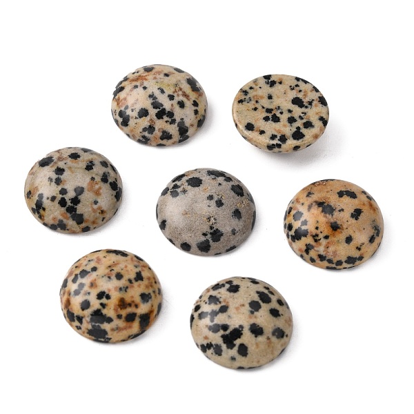 PandaHall Gemstone Cabochons, Half Round/Dome, Dalmatian Jasper, 18x7mm Dalmatian Jasper Half Round
PandaHall Gemstone Cabochons, Half Round/Dome, Dalmatian Jasper, 18x7mm Dalmatian Jasper Half Round