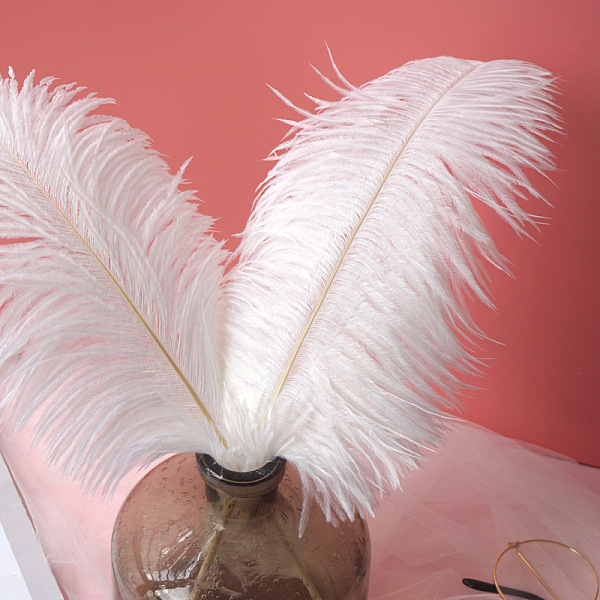 PandaHall Ostrich Feather Ornament Accessories, for DIY Photo Props, Backdrop Craft, White, 300~350mm Feather Feather White
PandaHall Ostrich Feather Ornament Accessories, for DIY Photo Props, Backdrop Craft, White, 300~350mm Feather Feather White