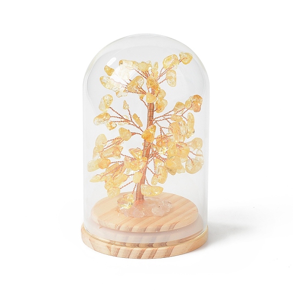 PandaHall Natural Yellow Quartz Chips Money Tree in Dome Glass Bell Jars with Wood Base Display Decorations, for Home Office Decor Good Luck...
PandaHall Natural Yellow Quartz Chips Money Tree in Dome Glass Bell Jars with Wood Base Display Decorations, for Home Office Decor Good Luck...