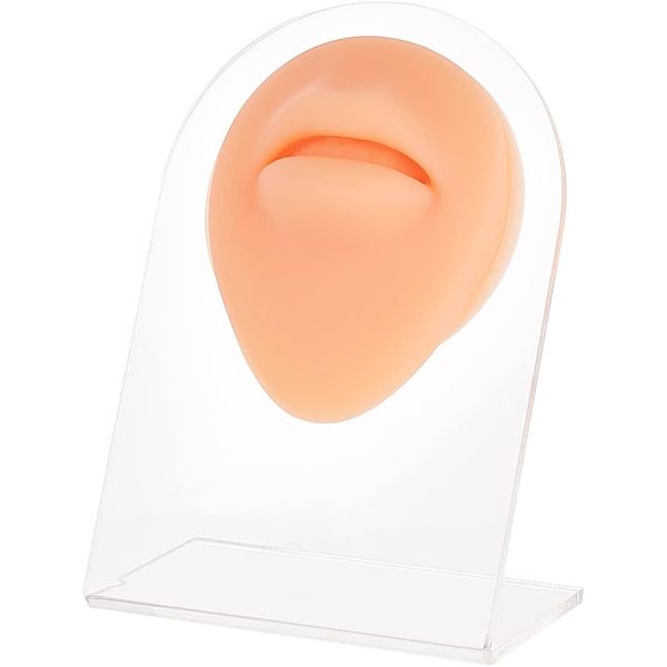 PandaHall Soft Silicone Mouth Flexible Model Body Part Displays with Acrylic Stands, Jewelry Display Teaching Tools for Piercing Suture...
PandaHall Soft Silicone Mouth Flexible Model Body Part Displays with Acrylic Stands, Jewelry Display Teaching Tools for Piercing Suture...
