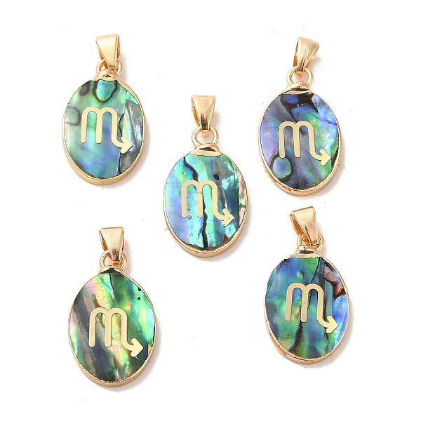 PandaHall Constellation Natural Paua Shell Pendants, Golden Tone Brass Oval Charms, Scorpio, 22x13x3~3.5mm, Hole: 6x3mm Paua Shell Scorpio
PandaHall Constellation Natural Paua Shell Pendants, Golden Tone Brass Oval Charms, Scorpio, 22x13x3~3.5mm, Hole: 6x3mm Paua Shell Scorpio