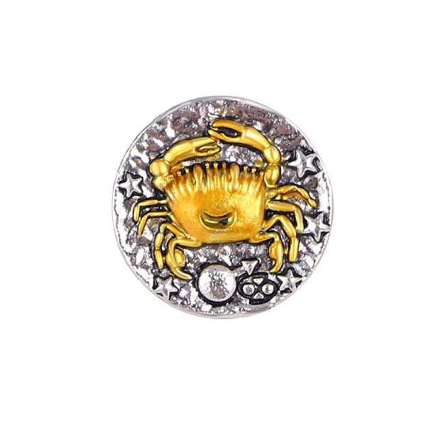 PandaHall Constellation Alloy Pins, Round Brooch, Zodiac Sign Badge for Clothes Backpack, Cancer, 18mm Alloy Cancer
PandaHall Constellation Alloy Pins, Round Brooch, Zodiac Sign Badge for Clothes Backpack, Cancer, 18mm Alloy Cancer
