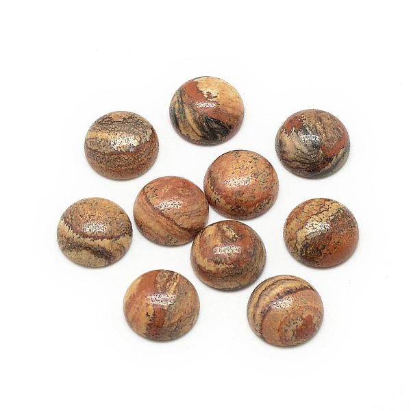 PandaHall Natural Picture Jasper Cabochons, Half Round/Dome, 8x4mm Picture Jasper Half Round
PandaHall Natural Picture Jasper Cabochons, Half Round/Dome, 8x4mm Picture Jasper Half Round