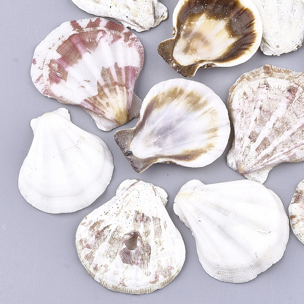 PandaHall Natural Scallop Shell Beads, Sea Shell Beads, Undrilled/No Hole Beads, Creamy White, 36~43x32~39x7~8mm Scallop Shell Shell Shape
PandaHall Natural Scallop Shell Beads, Sea Shell Beads, Undrilled/No Hole Beads, Creamy White, 36~43x32~39x7~8mm Scallop Shell Shell Shape