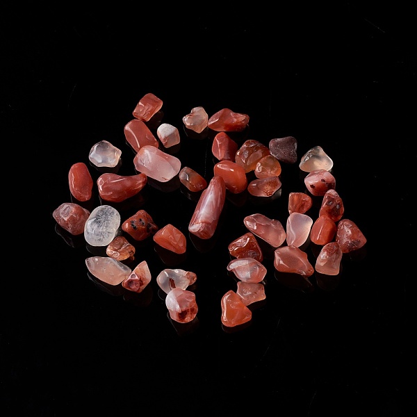 PandaHall Natural Carnelian Chip Beads, No Hole/Undrilled, Dyed & Heated, 5~10.5x5~7x2~4mm, about 3000pcs/1000g Carnelian Chip
PandaHall Natural Carnelian Chip Beads, No Hole/Undrilled, Dyed & Heated, 5~10.5x5~7x2~4mm, about 3000pcs/1000g Carnelian Chip