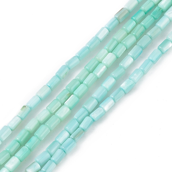 PandaHall Natural Freshwater Shell Dyed Beads Strands, Column, Pale Turquoise, 4.8x3mm, Hole: 0.8mm, about 78pcs/strand, 14.96''(38cm)...
PandaHall Natural Freshwater Shell Dyed Beads Strands, Column, Pale Turquoise, 4.8x3mm, Hole: 0.8mm, about 78pcs/strand, 14.96''(38cm)...