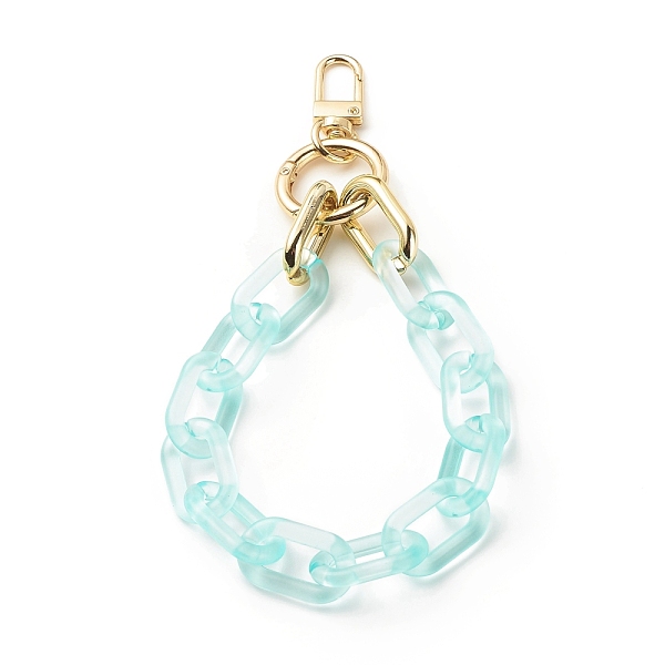 PandaHall Transparent Acrylic Cable Chain Wristlet Straps, with Swivel Clasps, Purse Accessories, Pale Turquoise, 310mm Acrylic
PandaHall Transparent Acrylic Cable Chain Wristlet Straps, with Swivel Clasps, Purse Accessories, Pale Turquoise, 310mm Acrylic