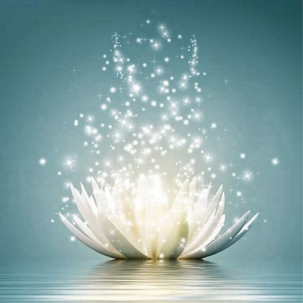 PandaHall 5D Diamond Painting Kits for Adult Beginners, DIY Full Round Drill Picture Art, Rhinestone Gem Paint Kits for Home Wall Decor..., White
PandaHall 5D Diamond Painting Kits for Adult Beginners, DIY Full Round Drill Picture Art, Rhinestone Gem Paint Kits for Home Wall Decor..., White