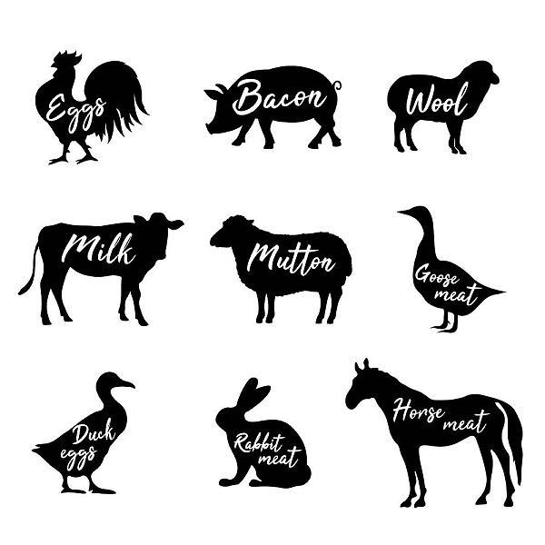 PandaHall PVC Wall Stickers, for Wall Decoration, Animal Pattern, 390x900mm Plastic Other Animal Black
PandaHall PVC Wall Stickers, for Wall Decoration, Animal Pattern, 390x900mm Plastic Other Animal Black