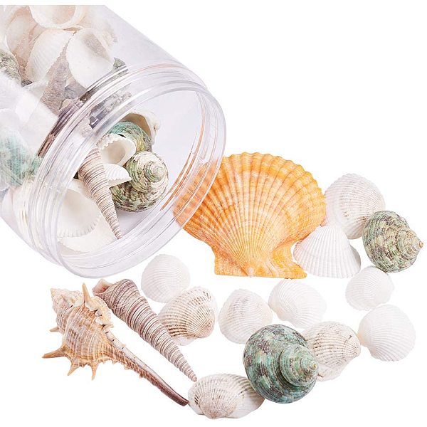 PandaHall 70 pcs Mixed Shape Undrilled Sea Shell Beads No Hole Scallop Sea Shells Natural Ocean Beach Clam Seashells Craft Charms for Home..., Multicolor
PandaHall 70 pcs Mixed Shape Undrilled Sea Shell Beads No Hole Scallop Sea Shells Natural Ocean Beach Clam Seashells Craft Charms for Home..., Multicolor
