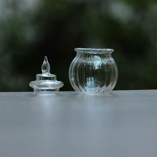 PandaHall Mini Glass Jar, Micro Landscape Dollhouse Accessories, Pretending Prop Decorations, Clear, 30x47mm Glass Bottle Clear
PandaHall Mini Glass Jar, Micro Landscape Dollhouse Accessories, Pretending Prop Decorations, Clear, 30x47mm Glass Bottle Clear