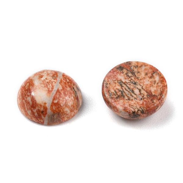 PandaHall Natural Leopard Skin Jasper Cabochons, Half Round/Dome, 10x4~5mm Leopard Skin Jasper Half Round
PandaHall Natural Leopard Skin Jasper Cabochons, Half Round/Dome, 10x4~5mm Leopard Skin Jasper Half Round