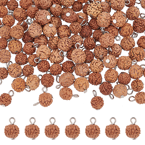 PandaHall ARRICRAFT 120Pcs Undyed Natural Rudraksha Charms, with Platinum Tone Iron Loops, Round, Saddle Brown, 12~13x8mm, Hole: 1.5~2mm...
PandaHall ARRICRAFT 120Pcs Undyed Natural Rudraksha Charms, with Platinum Tone Iron Loops, Round, Saddle Brown, 12~13x8mm, Hole: 1.5~2mm...