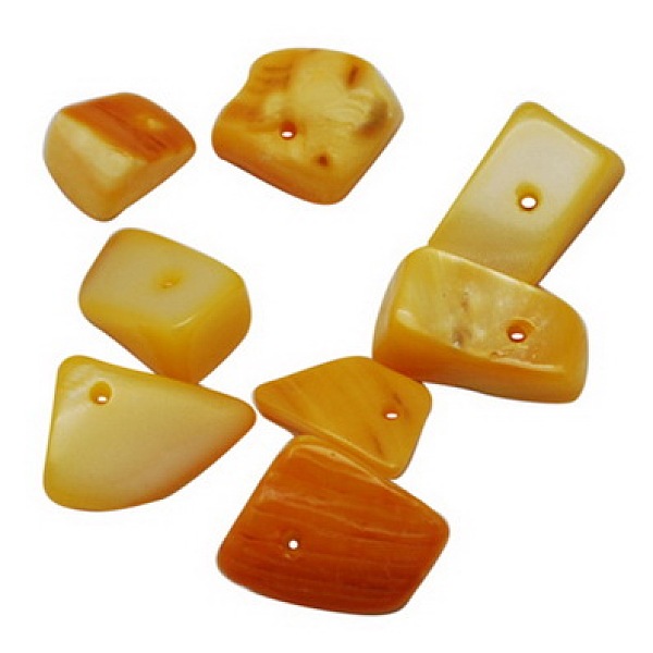 PandaHall Natural Freshwater Shell Chips Beads, Shell Shards, Dyed, Gold, 8~17x5~7x4~6mm, Hole: 1mm, about 640pcs/500g Freshwater Shell Chip...
PandaHall Natural Freshwater Shell Chips Beads, Shell Shards, Dyed, Gold, 8~17x5~7x4~6mm, Hole: 1mm, about 640pcs/500g Freshwater Shell Chip...