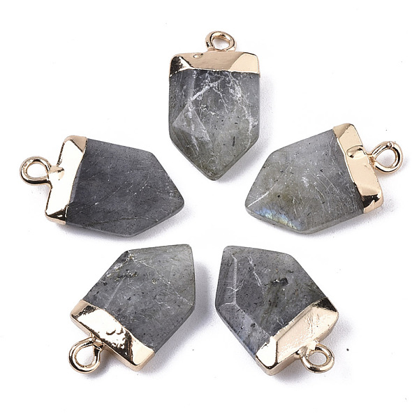 PandaHall Natural Labradorite Pointed Pendants, with Light Gold Plated Top and Brass Loop, Arrow, Faceted, 19x10.5x4.5mm, Hole: 1.8mm...
PandaHall Natural Labradorite Pointed Pendants, with Light Gold Plated Top and Brass Loop, Arrow, Faceted, 19x10.5x4.5mm, Hole: 1.8mm...
