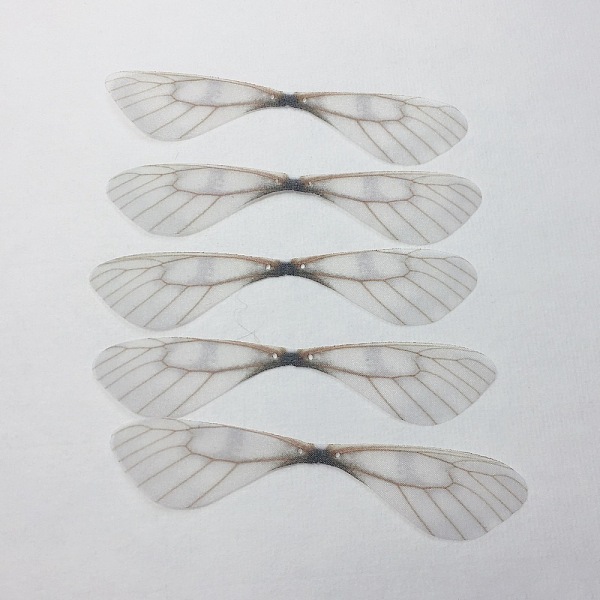 PandaHall Atificial Craft Chiffon Butterfly Wing, Handmade Organza Dragonfly Wings, Gradient Color, Ornament Accessories, Coffee, 19x83mm..., Brown
PandaHall Atificial Craft Chiffon Butterfly Wing, Handmade Organza Dragonfly Wings, Gradient Color, Ornament Accessories, Coffee, 19x83mm..., Brown