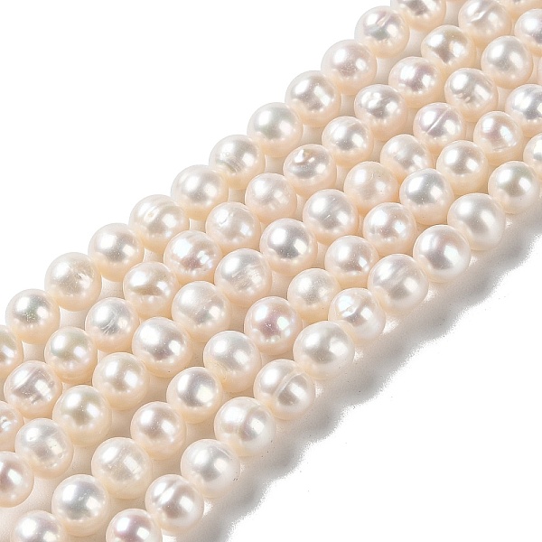 PandaHall Natural Cultured Freshwater Pearl Beads Strands, Potato, Grade 3A++, PapayaWhip, 7~8x6.5~7mm, Hole: 0.5mm, about 60pcs/strand..., Orange
PandaHall Natural Cultured Freshwater Pearl Beads Strands, Potato, Grade 3A++, PapayaWhip, 7~8x6.5~7mm, Hole: 0.5mm, about 60pcs/strand..., Orange