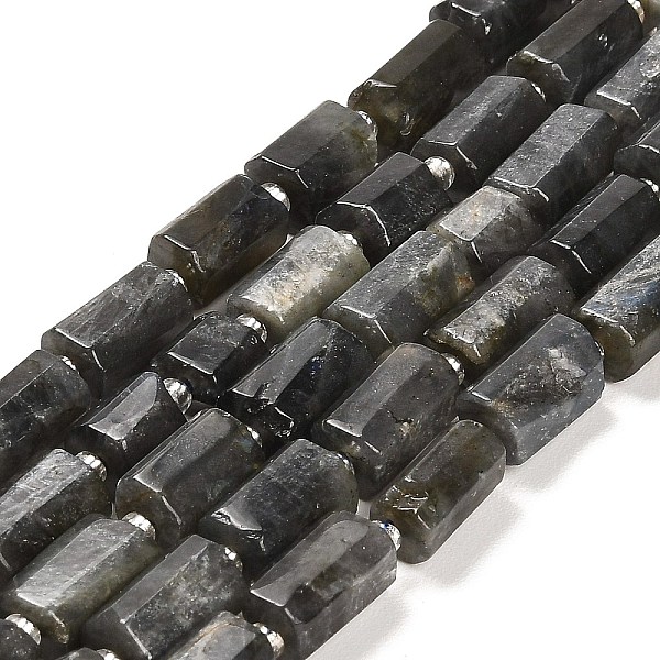 PandaHall Natural Larvikite Beads Strands, with Seed Beads, Faceted Column, 9~11x6~7.5x6~7.5mm, Hole: 1.2mm, about 30pcs/strand, 15.16~15.55...
PandaHall Natural Larvikite Beads Strands, with Seed Beads, Faceted Column, 9~11x6~7.5x6~7.5mm, Hole: 1.2mm, about 30pcs/strand, 15.16~15.55...