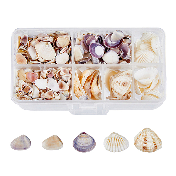 PandaHall SUPERFINDINGS 5 Styles Shell Beads, Undrilled/No Hole Beads, Mixed Color, 5~25mm Mixed Shell Mixed Shapes Multicolor
PandaHall SUPERFINDINGS 5 Styles Shell Beads, Undrilled/No Hole Beads, Mixed Color, 5~25mm Mixed Shell Mixed Shapes Multicolor