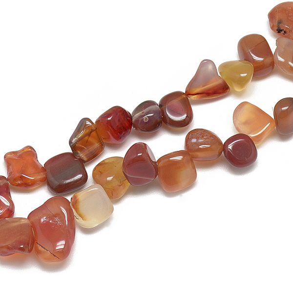 PandaHall Natural Carnelian Beads Strands, Dyed, Chip, 8~23x8~14x4~7mm, Hole: 1mm, about 55~70pcs/strand, 16.4 inch Carnelian Chip Red
PandaHall Natural Carnelian Beads Strands, Dyed, Chip, 8~23x8~14x4~7mm, Hole: 1mm, about 55~70pcs/strand, 16.4 inch Carnelian Chip Red
