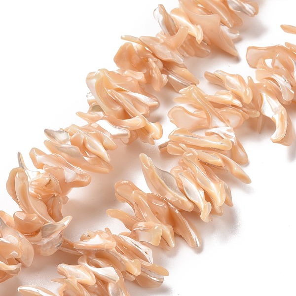 PandaHall Natural Trochid Shell Beads Strands, Chip, PeachPuff, 2~11x22~25x5~8mm, Hole: 0.8mm, about 93~148pcs/strand, 14.57~15.94 inch..., Brown
PandaHall Natural Trochid Shell Beads Strands, Chip, PeachPuff, 2~11x22~25x5~8mm, Hole: 0.8mm, about 93~148pcs/strand, 14.57~15.94 inch..., Brown
