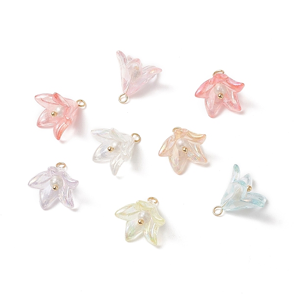 PandaHall Acrylic Pendants, with Shell Pearl Bead and 304 Stainless Steel Finding, Flower Charm, Mixed Color, 15.5x15.5mm, Hole: 2mm..., Multicolor
PandaHall Acrylic Pendants, with Shell Pearl Bead and 304 Stainless Steel Finding, Flower Charm, Mixed Color, 15.5x15.5mm, Hole: 2mm..., Multicolor