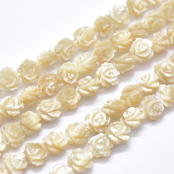 PandaHall Shell Bead Strands, Double-sided Rose, Blanched Almond, 12~12.5x4~5.5mm, Hole: 1mm, about 33pcs/strand, 14.96 inch(38cm) Other Sea..., Orange
PandaHall Shell Bead Strands, Double-sided Rose, Blanched Almond, 12~12.5x4~5.5mm, Hole: 1mm, about 33pcs/strand, 14.96 inch(38cm) Other Sea..., Orange