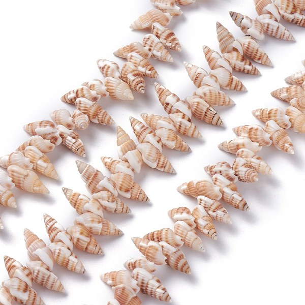 PandaHall Natural Spiral Shell Beads Strands, Wheat, 14~20x7~10x6~8mm, Hole: 1mm, 15.35 inch(39cm) Spiral Shell Shell Shape Orange
PandaHall Natural Spiral Shell Beads Strands, Wheat, 14~20x7~10x6~8mm, Hole: 1mm, 15.35 inch(39cm) Spiral Shell Shell Shape Orange