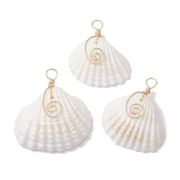 PandaHall Natural Ark Shell Copper Wire Wrapped Pendants, Shell Shape Charms, Light Gold, 28~35x26~32.5x10.5~14.5mm, Hole: 3.5mm Shell Shell...
PandaHall Natural Ark Shell Copper Wire Wrapped Pendants, Shell Shape Charms, Light Gold, 28~35x26~32.5x10.5~14.5mm, Hole: 3.5mm Shell Shell...
